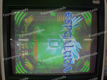Not Original PGM EspGaluda Jamma Arcade Board PCB Tested Working